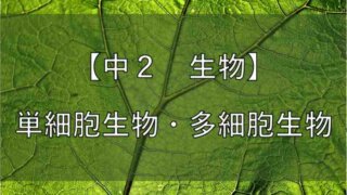 中学 理科 有機物と無機物の違いや見分け方をわかりやすく解説 かめのこブログ