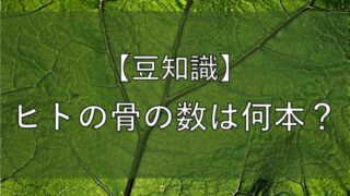 ヒトの骨の本数の記事のアイキャッチ画像