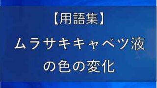 ムラサキキャベツ液の記事のアイキャッチ画像