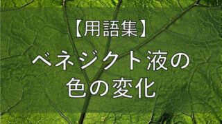 ベネジクト液の色の変化のアイキャッチ画像