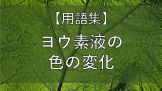 ヨウ素液の色の変化の記事のアイキャッチ画像