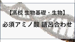 必須アミノ酸の語呂合わせの記事のアイキャッチ画像