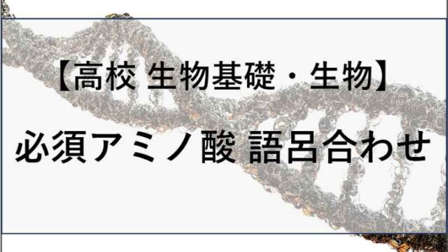 必須アミノ酸の語呂合わせの記事のアイキャッチ画像