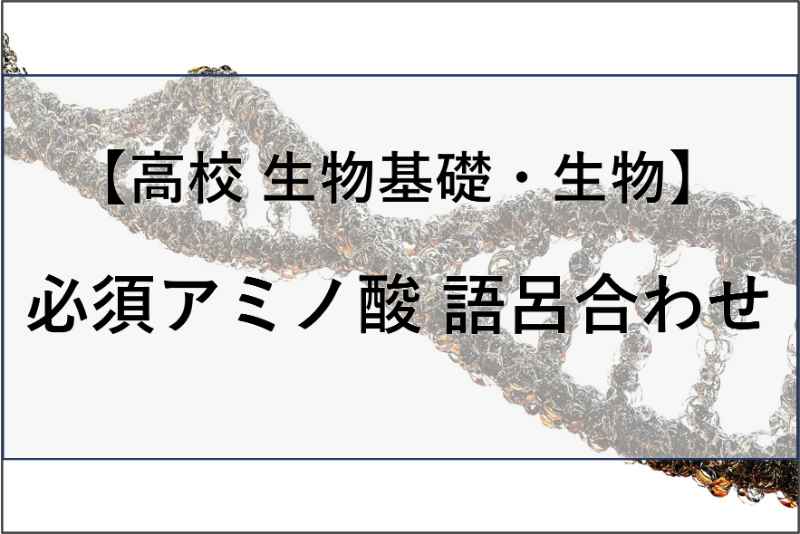 必須アミノ酸の語呂合わせの記事のアイキャッチ画像