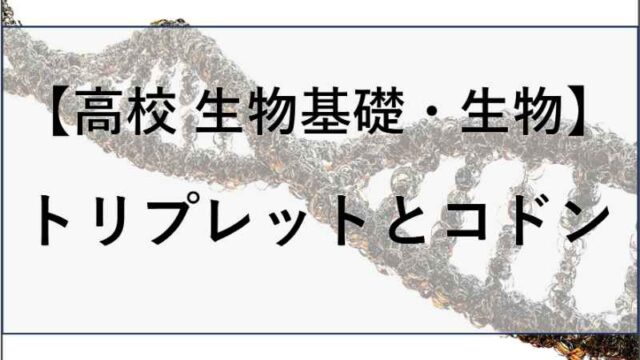 トリプレットとコドンの違いの記事のアイキャッチ画像